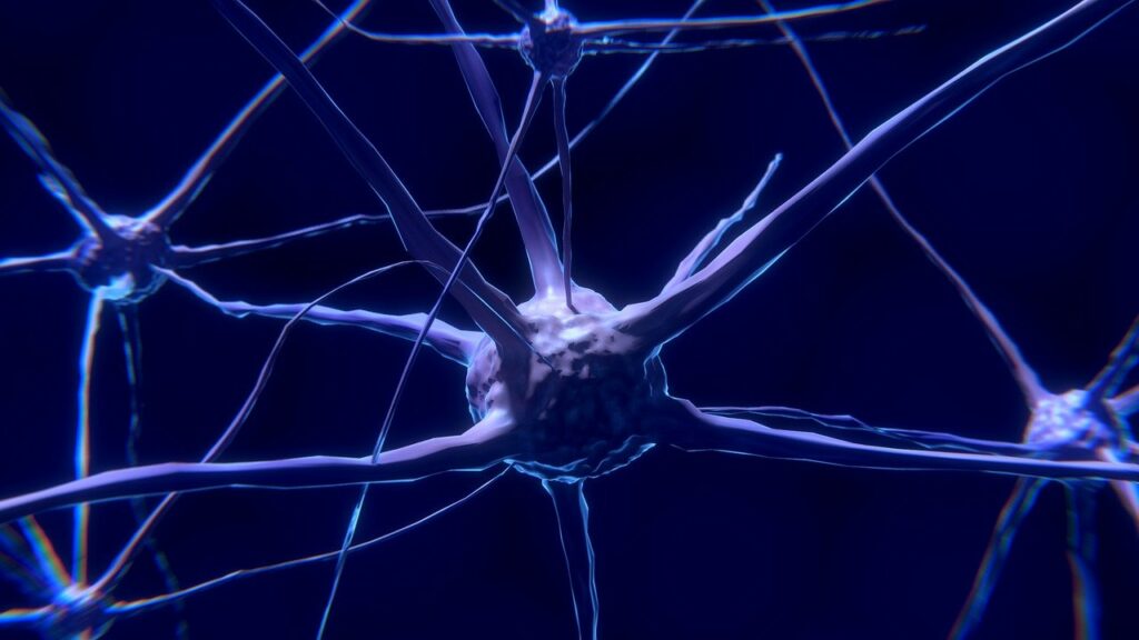 Mit einer täglichen Einheit Gehirnjogging werden die Synapsen trainiert