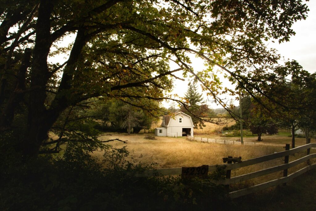 Ein Umzug aufs Land bringt Stadtmenschen näher zur Natur