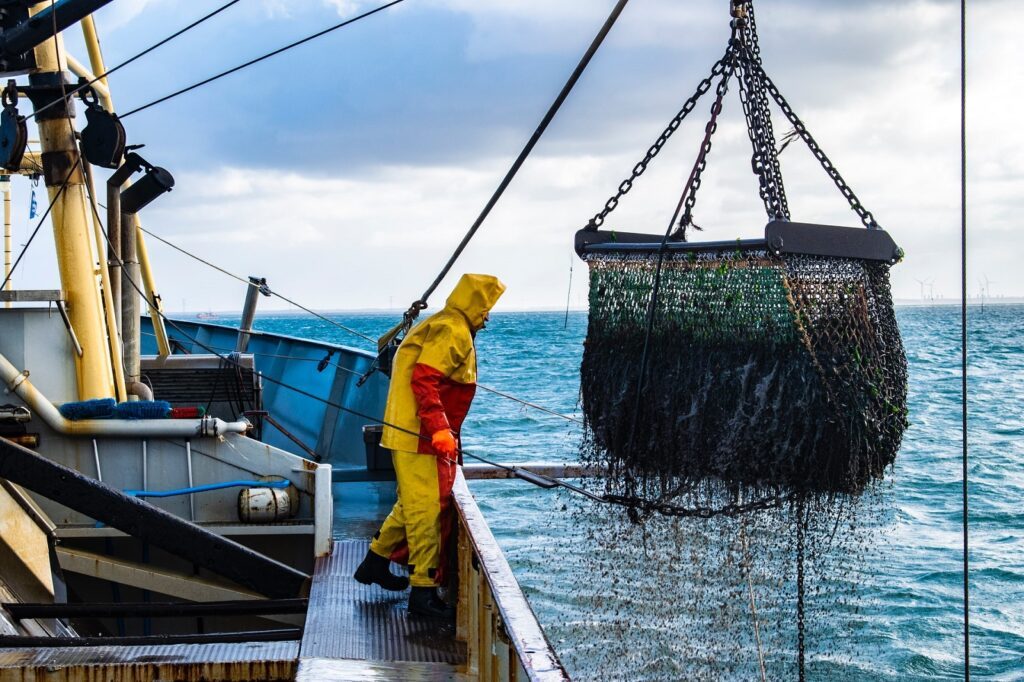 Auch in der Fastenzeit gilt: Fisch selten und nachhaltig essen 2 das msc siegel weist nachhaltigen fischfang aus