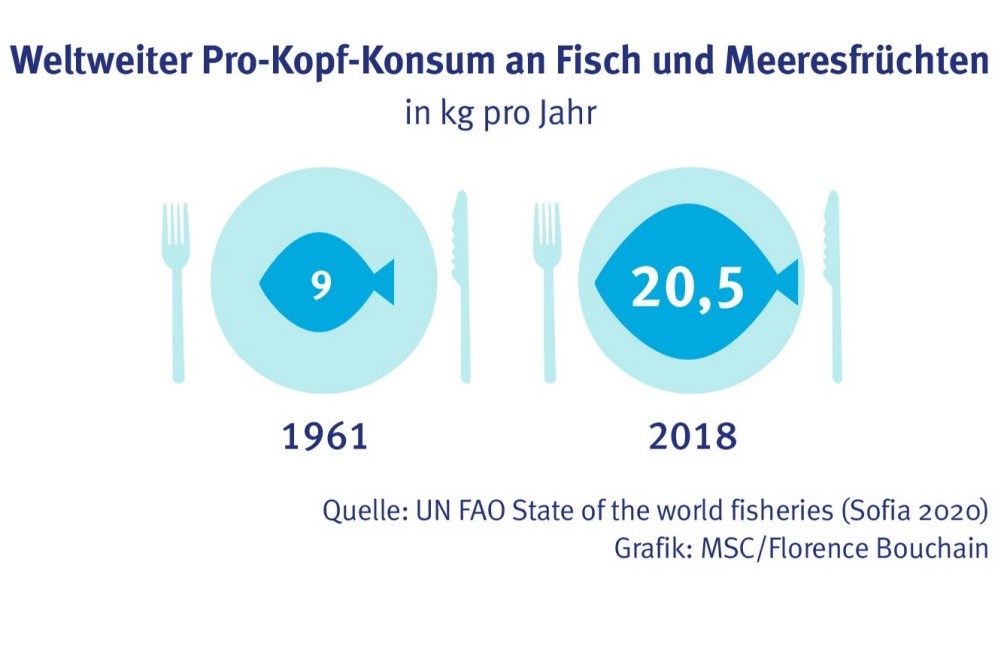 Auch in der Fastenzeit gilt: Fisch selten und nachhaltig essen 1 veraenderung beim fischverzehr