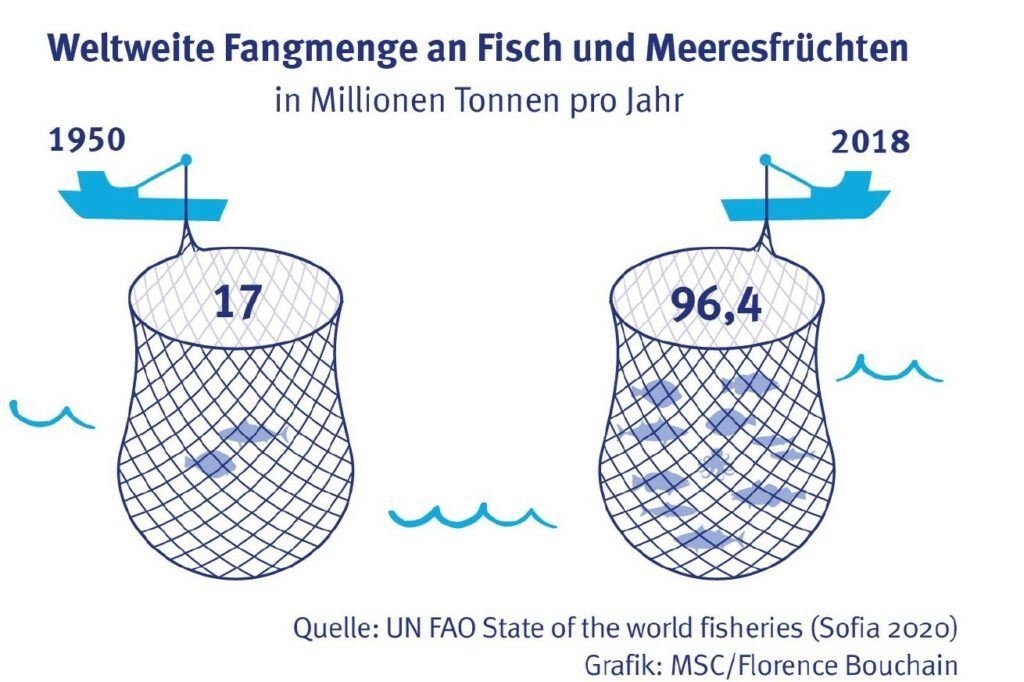 Auch in der Fastenzeit gilt: Fisch selten und nachhaltig essen 3 Die Fangemenge an Fisch hat sich dramatisch erhöht