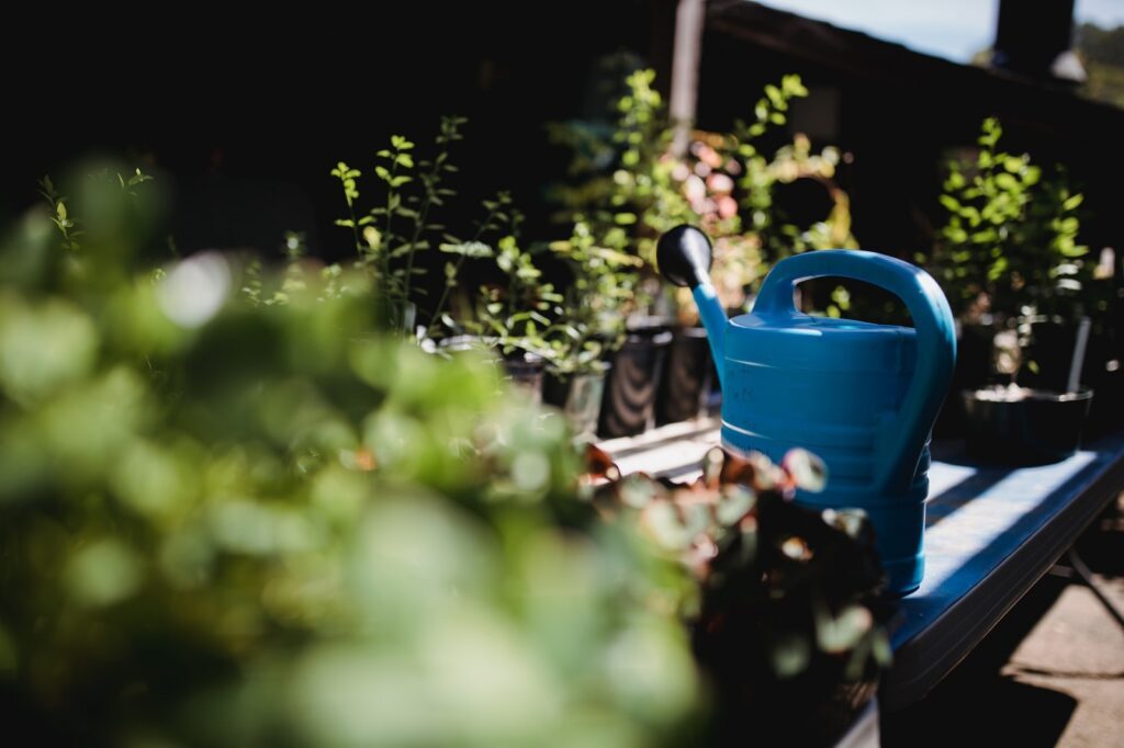 Trend Selbstversorger - Gemüseanbau auf dem Balkon oder im Garten 3 jason leung DxK D dWJPo unsplash