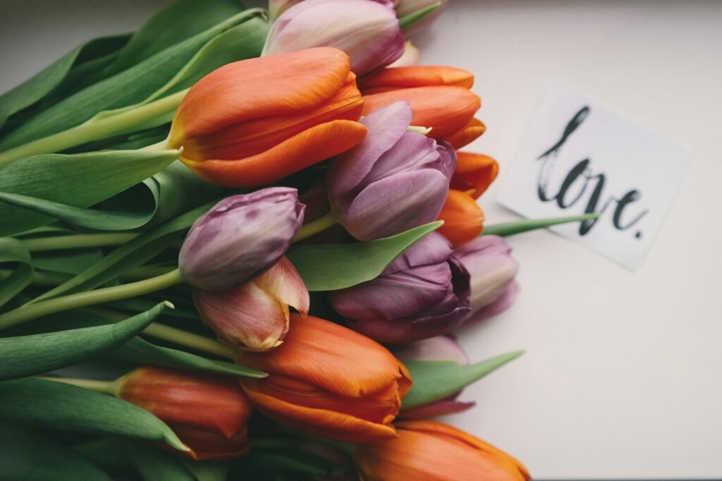 brigitte tohm 5lvgkp xix8 unsplash