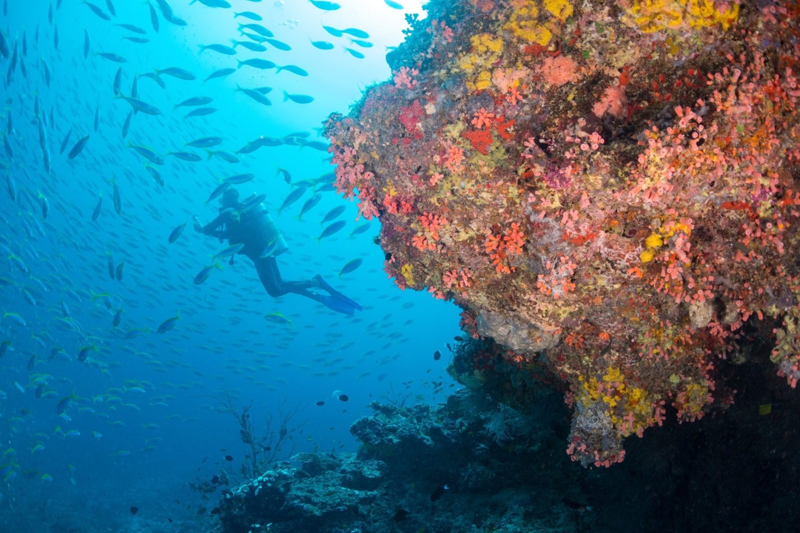 Dem Herbst-Blues entfliehen - 3x Wellness auf den Malediven 6 Bild 6