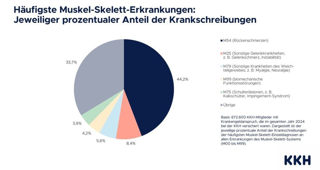 Jeder 8. Berufstätige betroffen – Der Rücken als Schwachstelle der Arbeitswelt 4 KKH Grafiken AU Daten h├nufigste Diagnosen nach Fehltagen bilder 3