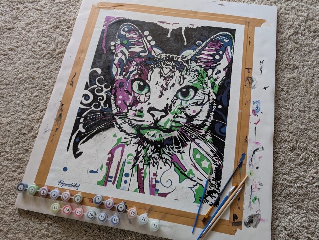 PXL 20260226 140804465