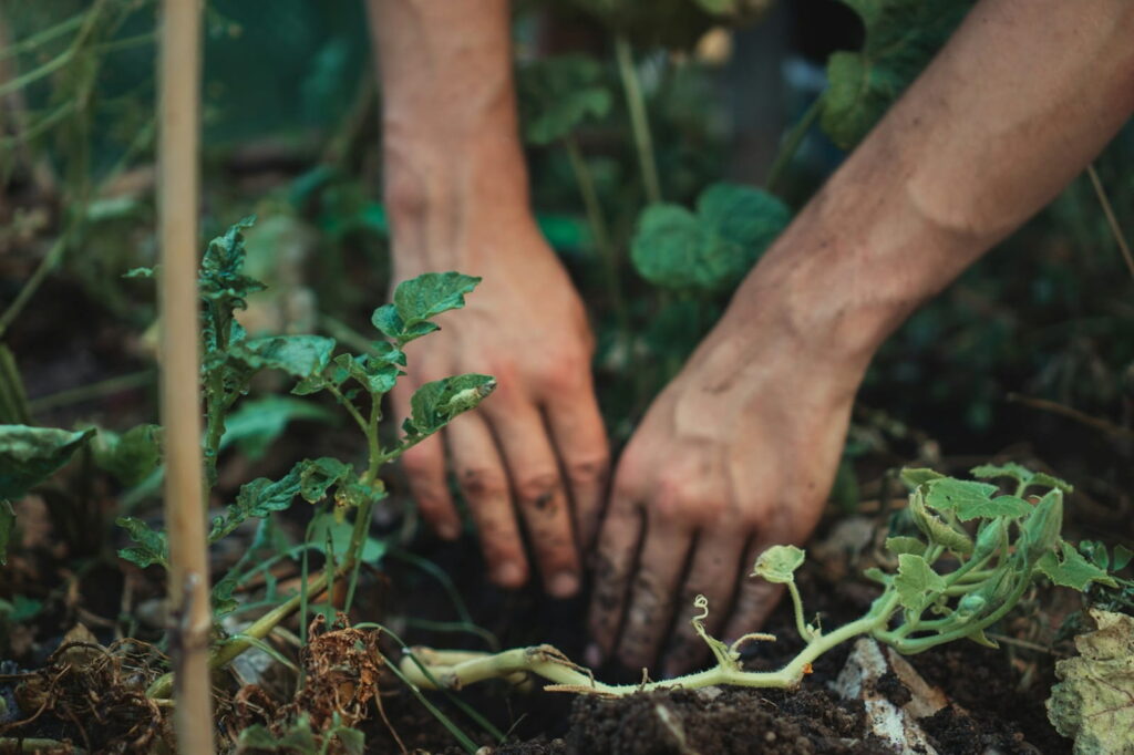 Graben statt Gym - Was eine Stunde Gartenarbeit wirklich mit dem Körper macht 2 Gartenarbeit heißt: Erde unter den Nägeln, Ruhe im Kopf. Was wie Arbeit aussieht, ist messbarer Stressabbau.